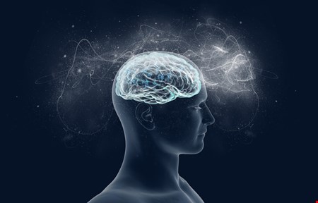 آخرین تحقیقات در خصوص اثرات اعتیاد بر روی مغز