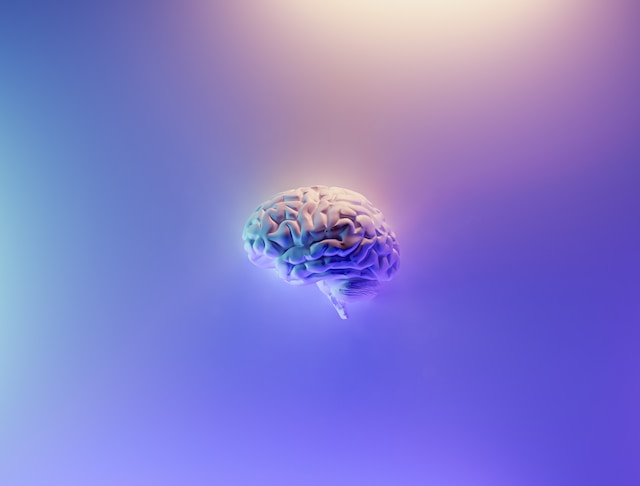 انواع تحریک پذیری الکتریکی در مغز
